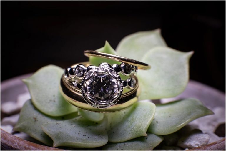 Wedding ring detail on top of succulent